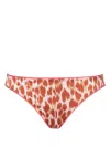 Eres Règne Briefs In Brown