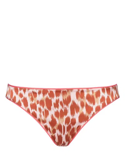 Eres Règne Briefs In Brown