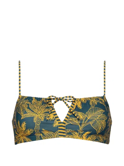 Eres Rêve Botanical-print Bikini Top In Blue