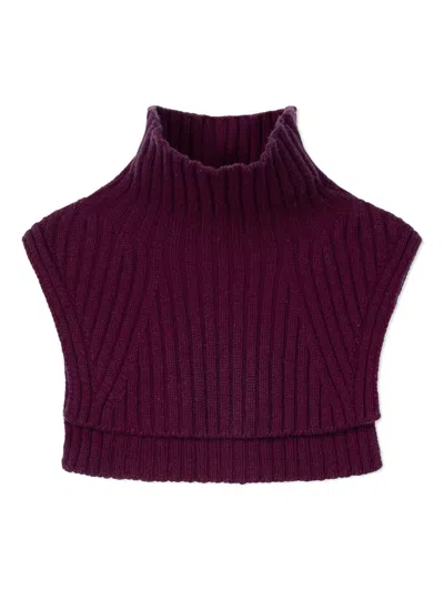 Eric Bompard Ribbed-knit Bib In Purple