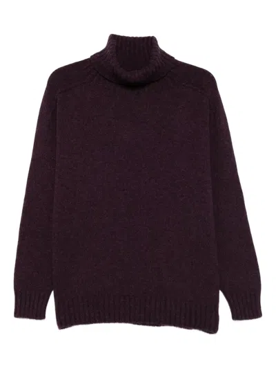 Eric Bompard Roll-neck Raglan-sleeve Sweater In Purple