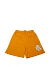 Eric Emanuel Ee Basic Core Shorts In Multi