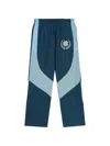 Eric Emanuel Ee Core Track Pants In Blue