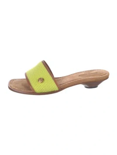 Pre-owned Eric Javits Straw Colorblock Pattern Slides In Green