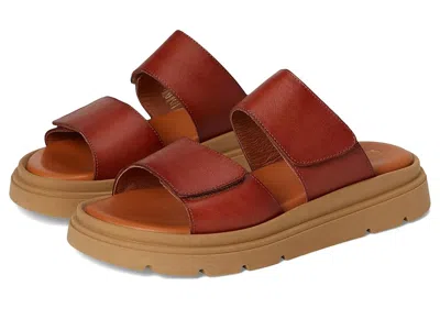 Eric Michael Aria In Brown