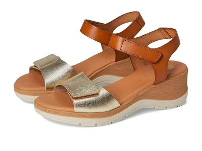 Eric Michael Caroline In Multi