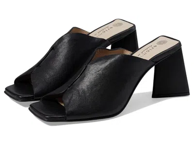 Eric Michael Crosby In Black