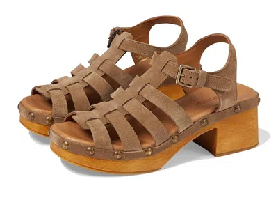 Eric Michael Desi In Brown