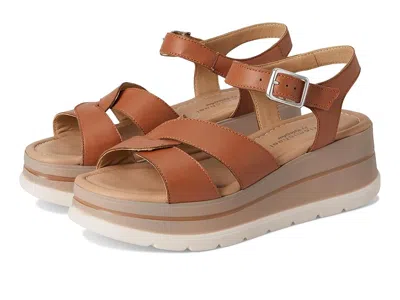 Eric Michael Kinsley In Brown