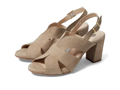 Eric Michael Lark In Sand