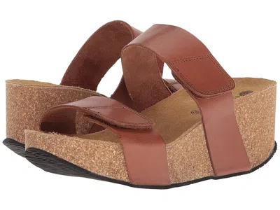 Eric Michael Lily In Brown