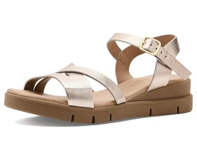 Eric Michael Nicola In Gold