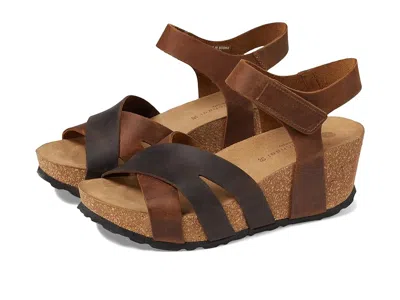 Eric Michael Olympia In Brown