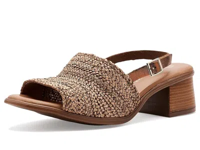 Eric Michael Rafa In Brown