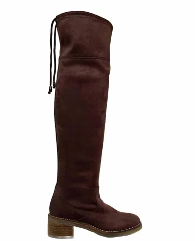 Eric Michael Women's Alessandra Over The Knee Boot In Tan In Multi