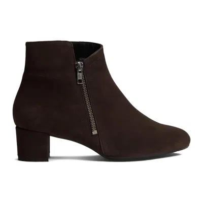 Eric Michael Women's Alexis Ankles Boots In Brown Suede