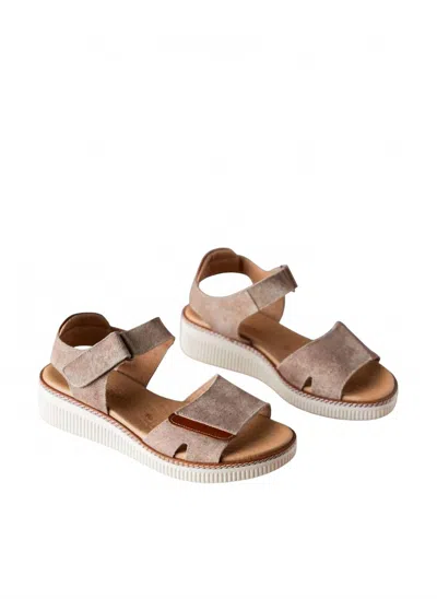 Eric Michael Women's Ariana Flat Sandal In Beige In Brown