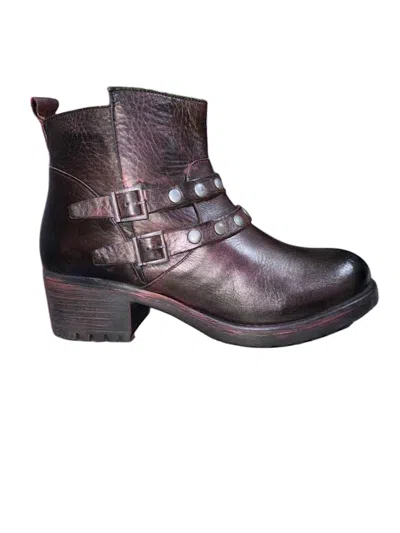 Eric Michael Women's Buffalo Moto Boots In Metallic Bordeux In Purple