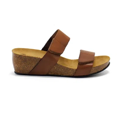 ERIC MICHAEL WOMEN'S CODY WEDGE SANDALS IN BROWN