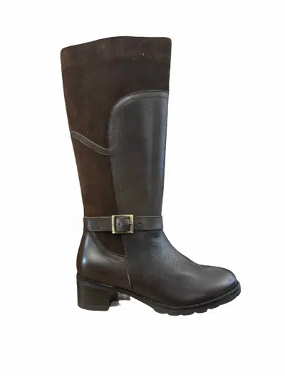Eric Michael Women's Devon Tall Boot In Brown In Gray