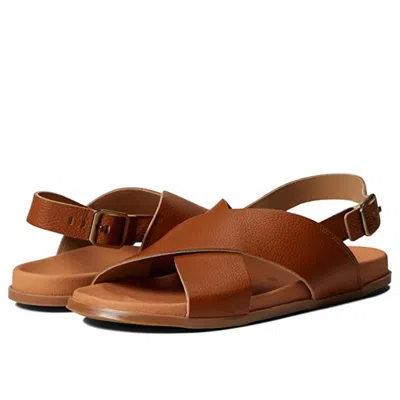 Eric Michael Women's  Apollo Sandals -6 Brown Leather Ankle Strap Zap1077