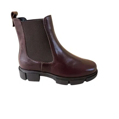 Eric Michael Women's Erika Flat Chelsea Boots In Brown