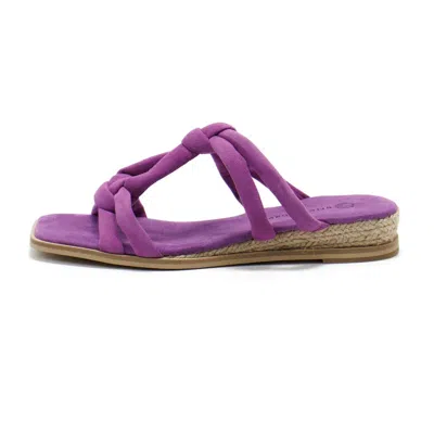 Eric Michael Women's Hope Suede Sandals In Lilac In Purple