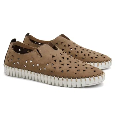 Eric Michael Women's Inez Flat Shoes In Safari In Multi