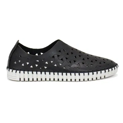 Eric Michael Women's Inez Slip-on In Black In Multi