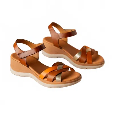 Eric Michael Women's Lyla Wedge Sandal In Tan Combo In Brown