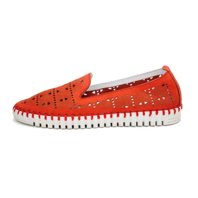 Eric Michael Women's Maria Slip On Loafers In Red Nubuck In Animal Print