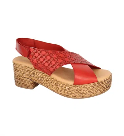 Eric Michael Women's Melba Sandals In Red In Pink