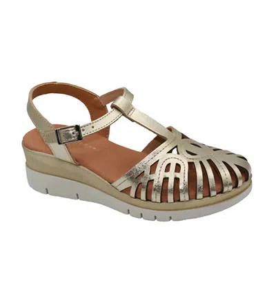 Eric Michael Women's Rose Sandals In Gold In Multi
