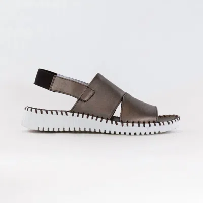 Eric Michael Women's Sola Sandals In Pewter In Brown