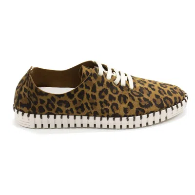 Eric Michael Women's Stacie Lace-up Casual Sneaker In Leopard In Animal Print