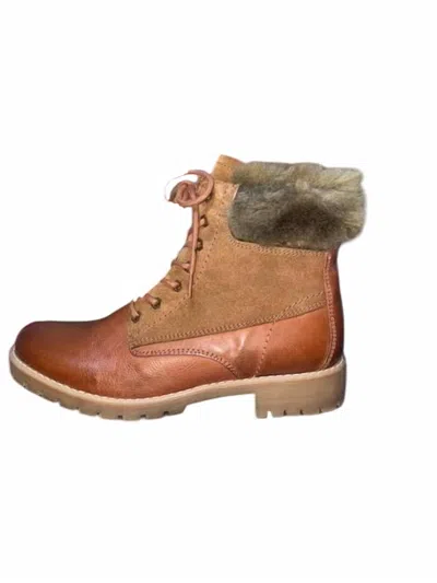 Eric Michael Women's Utah Booties In Cognac In Multi