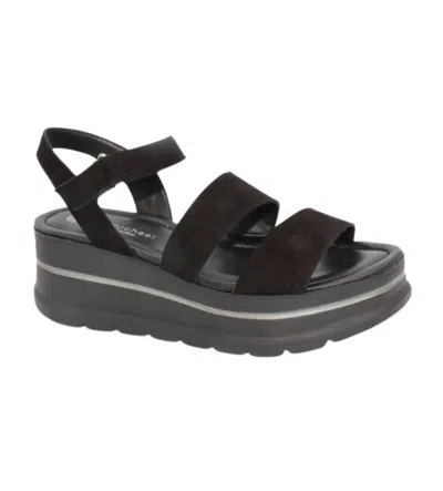 Eric Michael Women's Willow Wedge Sandal In Black