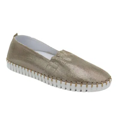 Eric Michael Women's Yvette Sneakers In Gold Snake