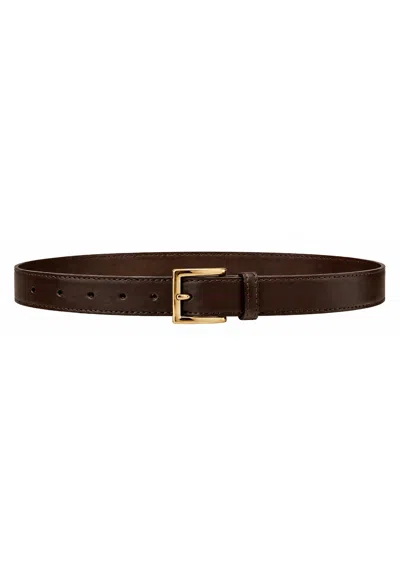 Erika Cavallini Belt  In Brown