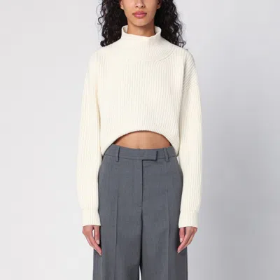 ERIKA CAVALLINI ERIKA CAVALLINI EVELINA CREAM TURTLENECK SWEATER