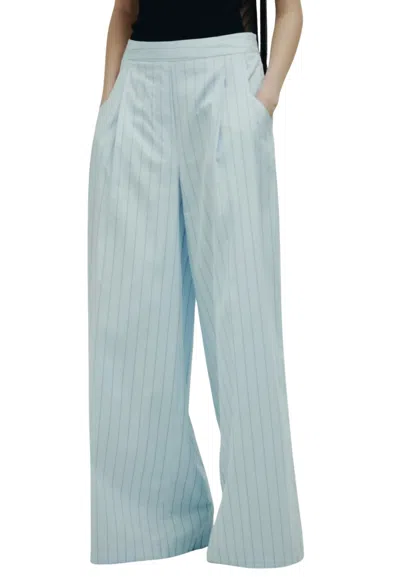 Erika Cavallini Women's Trousers  Gessato In Blue