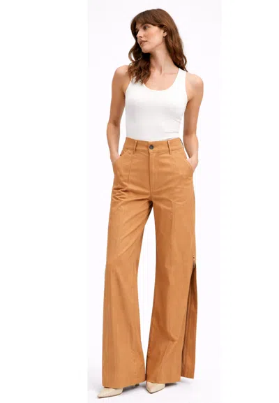 Erika Cavallini Women's Trousers  With Zip In Brown