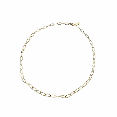 Erin Gray 14k Gold Filled Paperclip Large Links Necklace - 18"