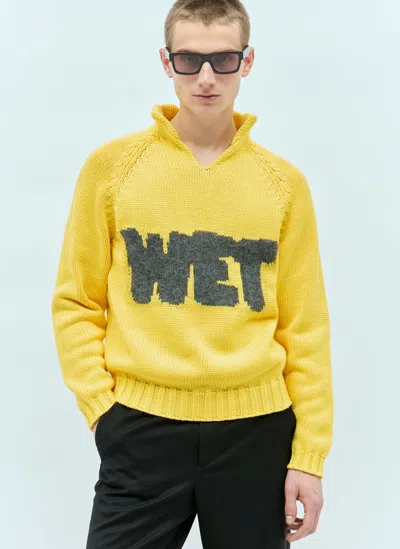 ERL WET INTARSIA KNIT SWEATER
