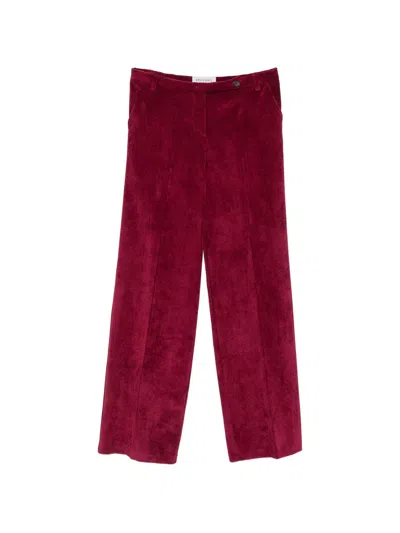 Ermanno Bordeaux Polyester Polyamide Elastane Pants In Burgundy