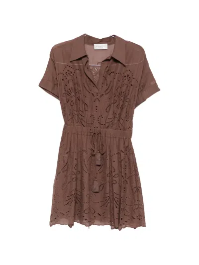 Ermanno Firenze Broderie-anglaise Mini Dress In Brown