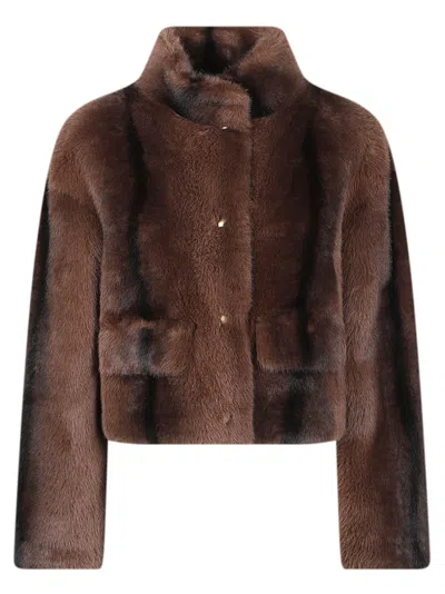 Ermanno Firenze Cropped High-collar Concealed-closure Faux-fur Jacket In Brown