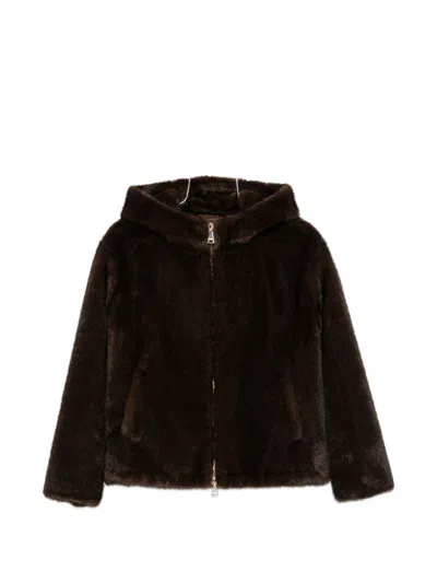 Ermanno Firenze Fur-trimmed Hood Jacket In Brown