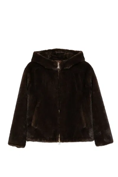 Ermanno Firenze Jackets In Brown