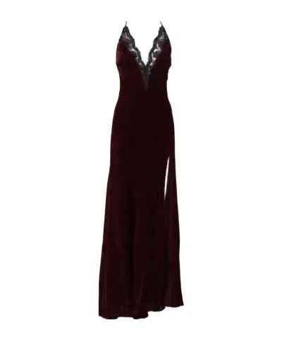 Ermanno Firenze Lace Backless Maxi Dress In Burgundy